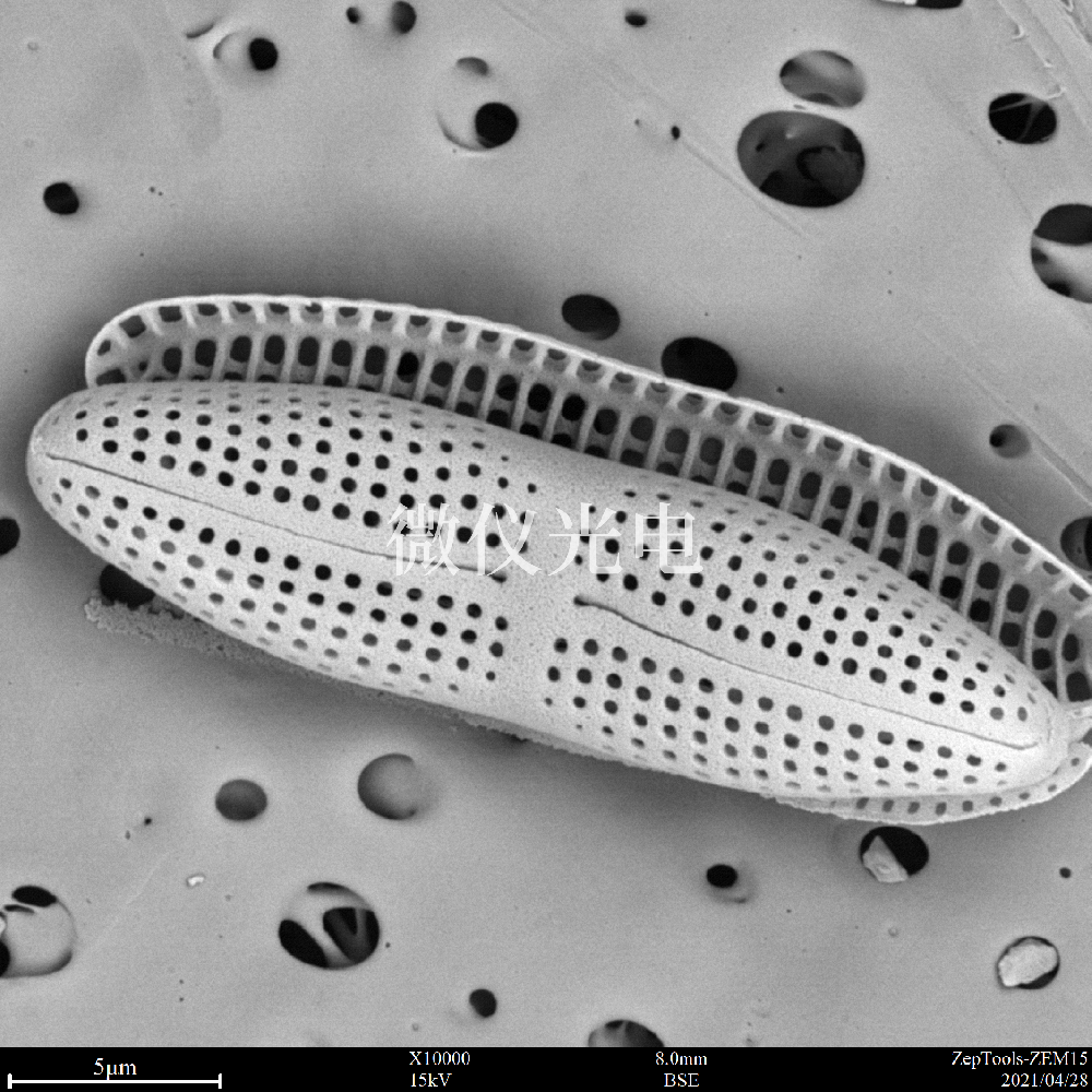 sem掃描電鏡為科研人員提供了新的研究設備