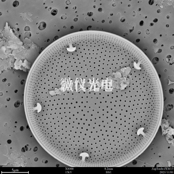 1659930752542879.png 1658972844138424.png