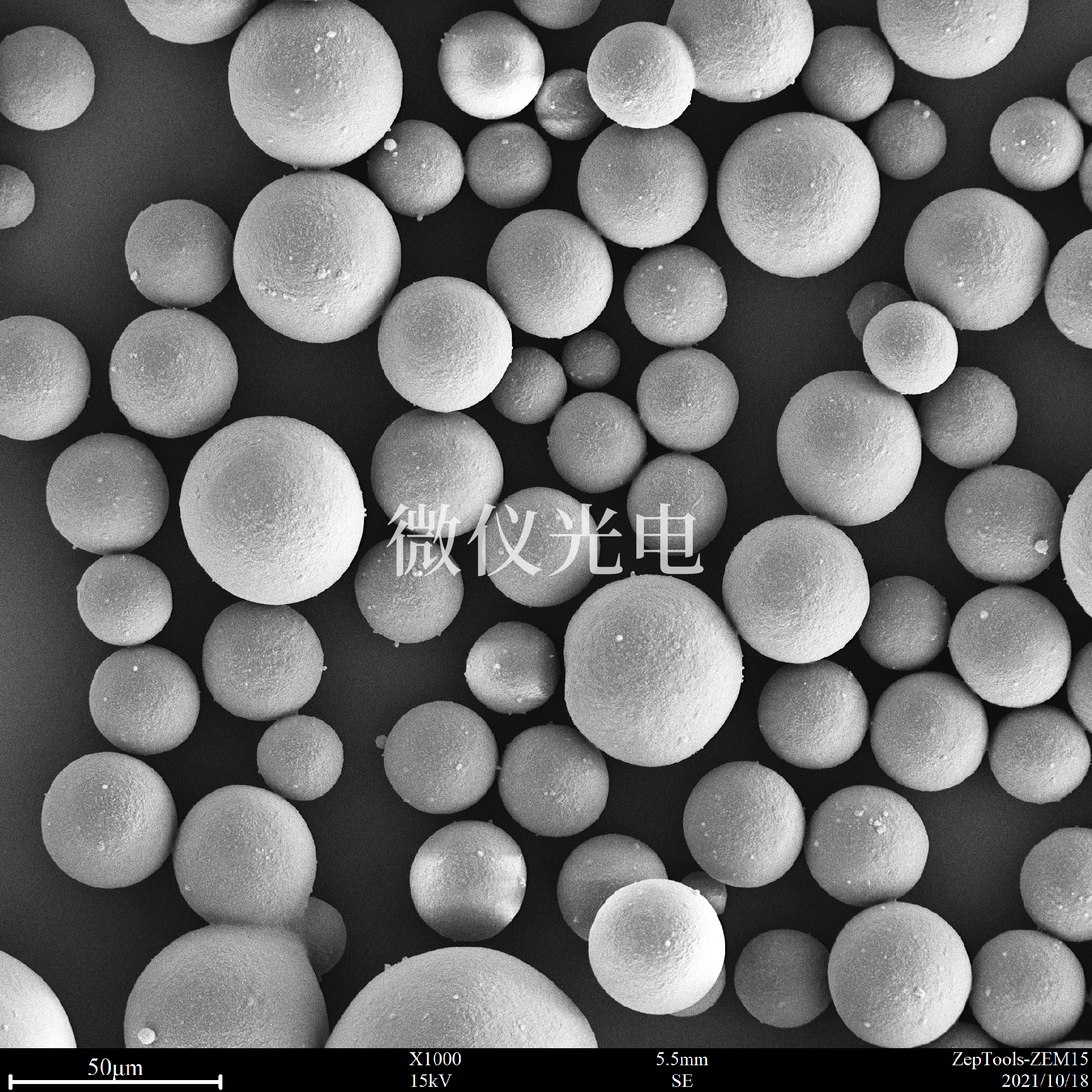 臺式掃描下的藥物.png 臺式掃描下的藥物.png