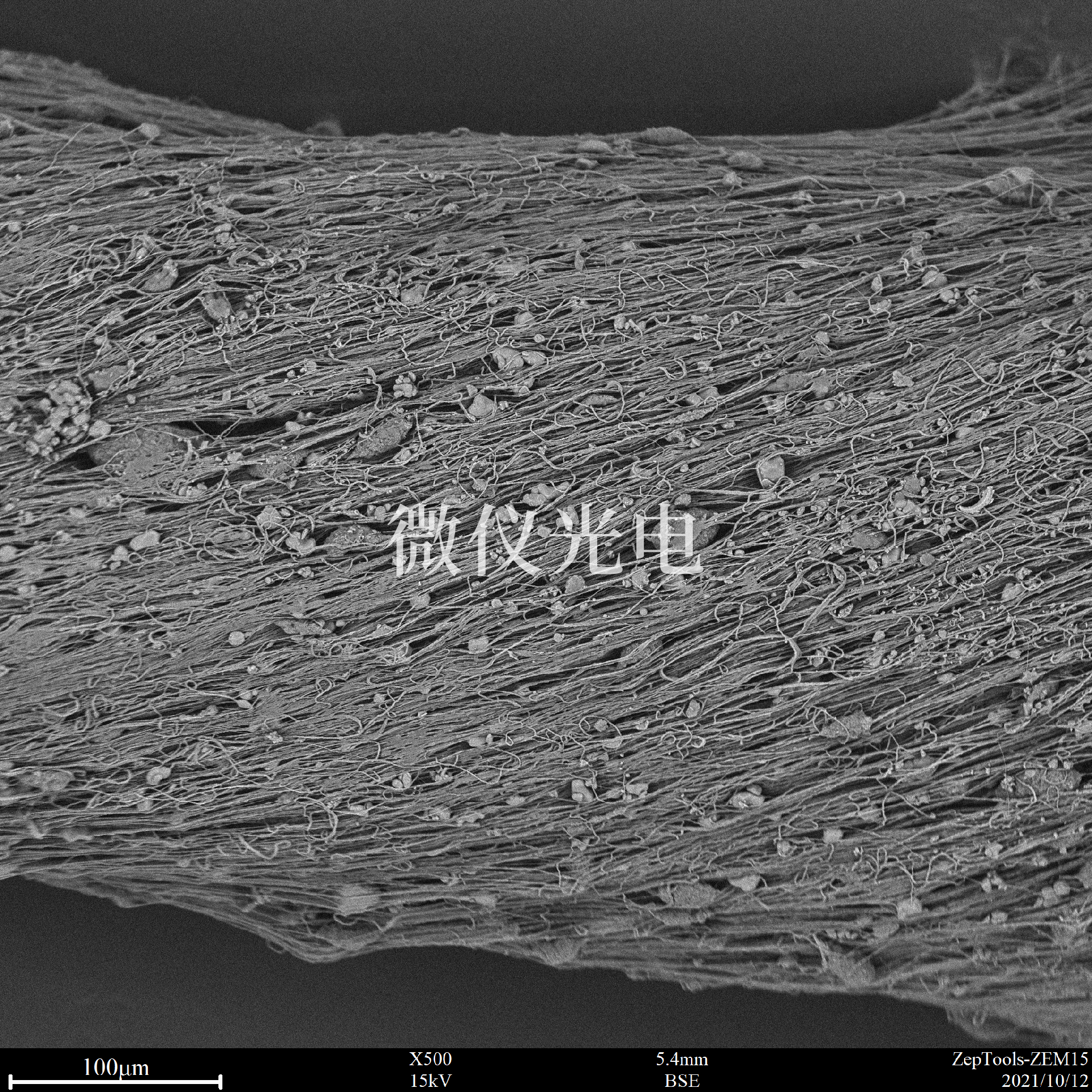 1666747154556456.png 掃描電鏡下的紡絲.png