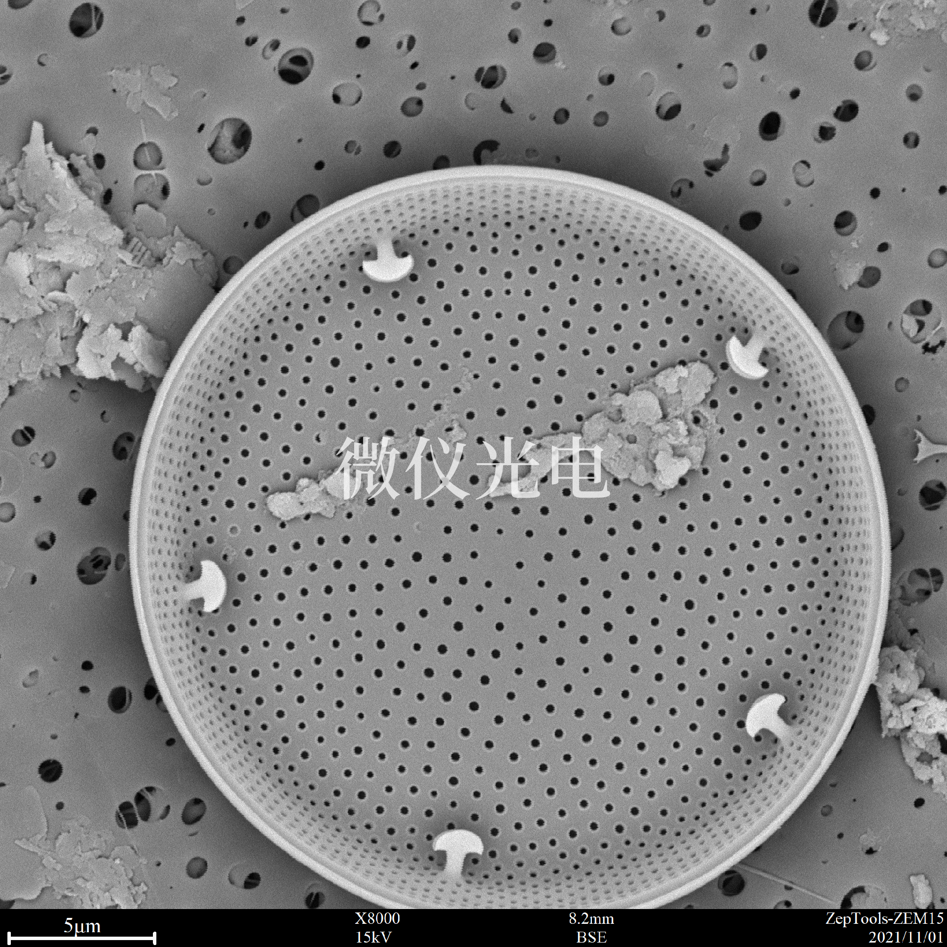 1667525175551093.png 掃描電鏡.png